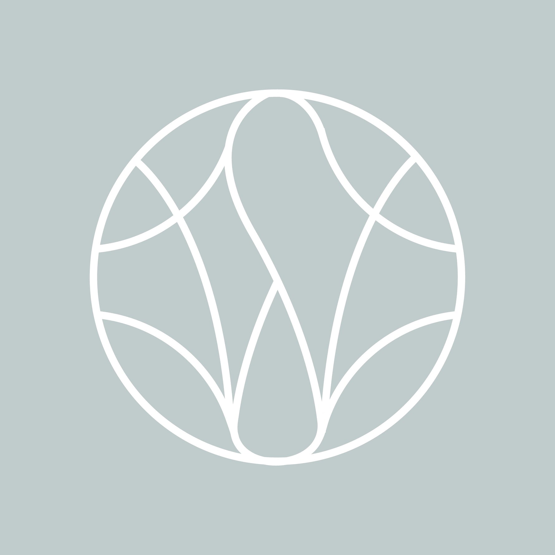 Products wunderskin ph